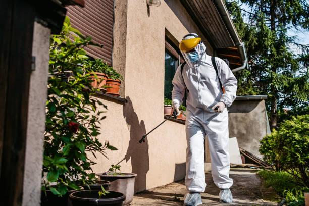 Professional Pest Control in Oakwood, PA