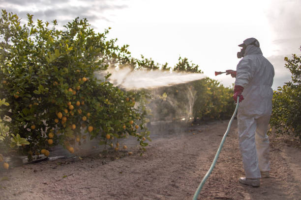 Best Wildlife Control Services  in Oakwood, PA