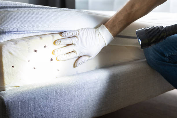 Best Pest Control for Restaurants  in Oakwood, PA