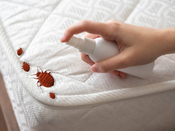 Pest Control for Restaurants in Oakwood, PA