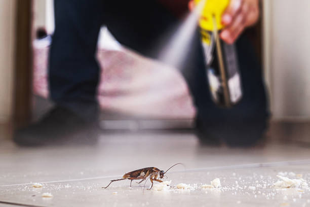 Trusted Oakwood, PA Pest Control Experts