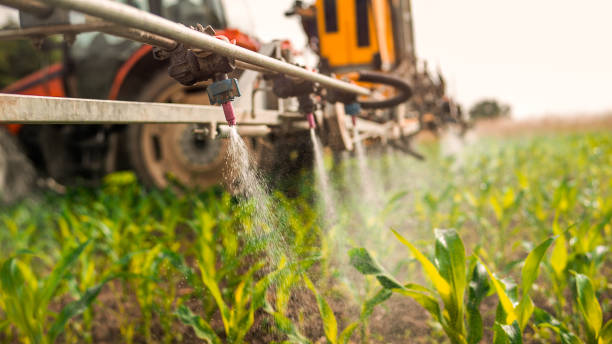 Best Mosquito Control Services  in Oakwood, PA